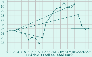 Courbe de l'humidex pour Ibirite