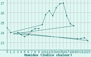 Courbe de l'humidex pour Punta Marina