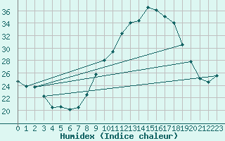 Courbe de l'humidex pour Chteauroux (36)