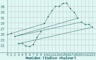 Courbe de l'humidex pour Chlef