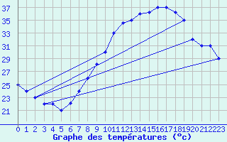 Courbe de tempratures pour Mecheria