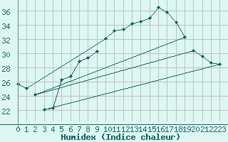 Courbe de l'humidex pour Palic