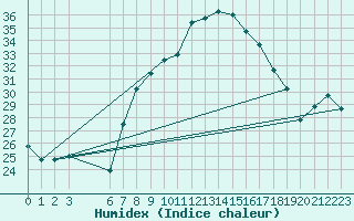 Courbe de l'humidex pour Chlef