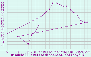 Courbe du refroidissement olien pour Touggourt