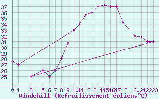 Courbe du refroidissement olien pour Touggourt