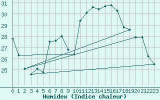 Courbe de l'humidex pour Neusiedl am See