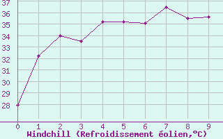 Courbe du refroidissement olien pour Chok Chai