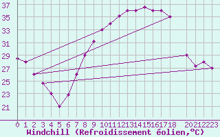 Courbe du refroidissement olien pour Touggourt