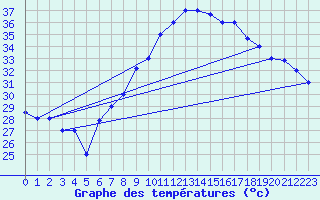 Courbe de tempratures pour Elbayadh