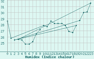 Courbe de l'humidex pour Messina