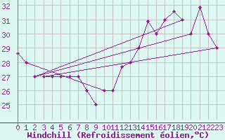 Courbe du refroidissement olien pour Freeport, Grand Bahama