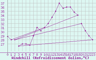Courbe du refroidissement olien pour El Golea
