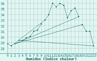 Courbe de l'humidex pour Ile du Levant (83)