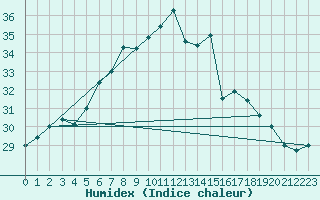 Courbe de l'humidex pour Vieste