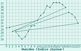 Courbe de l'humidex pour Ghardaia