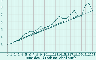 Courbe de l'humidex pour Angermuende