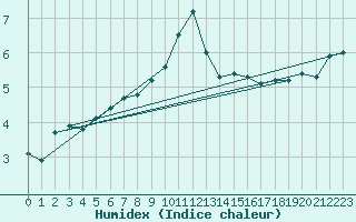 Courbe de l'humidex pour Vlieland