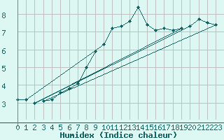 Courbe de l'humidex pour Hoernli