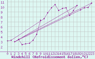 Courbe du refroidissement olien pour Schauenburg-Elgershausen