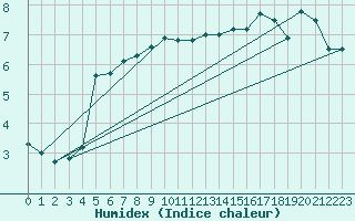 Courbe de l'humidex pour Akurnes