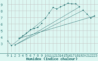 Courbe de l'humidex pour Beerse (Be)