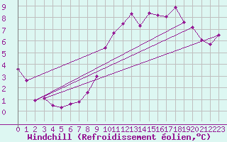 Courbe du refroidissement olien pour Koblenz Falckenstein