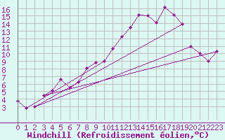 Courbe du refroidissement olien pour Maastricht / Zuid Limburg (PB)