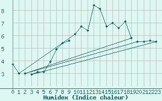 Courbe de l'humidex pour Seehausen