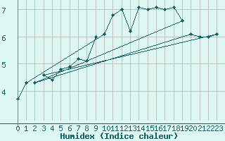 Courbe de l'humidex pour Wiesenburg