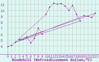 Courbe du refroidissement olien pour Schauenburg-Elgershausen