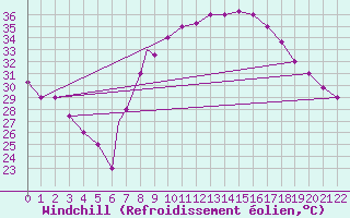 Courbe du refroidissement olien pour Touggourt