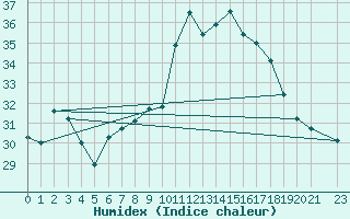 Courbe de l'humidex pour Ponza