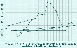 Courbe de l'humidex pour Vigna Di Valle