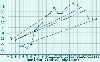 Courbe de l'humidex pour Grazzanise