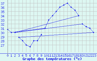 Courbe de tempratures pour Touggourt