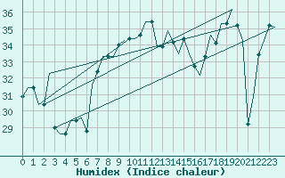 Courbe de l'humidex pour Palermo / Punta Raisi