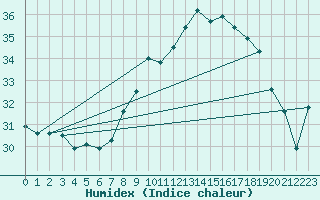 Courbe de l'humidex pour Ile du Levant (83)