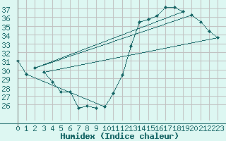 Courbe de l'humidex pour Ivinhema