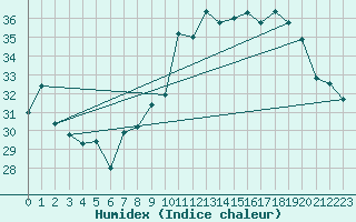 Courbe de l'humidex pour Ile du Levant (83)