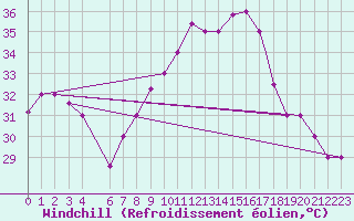 Courbe du refroidissement olien pour Biskra