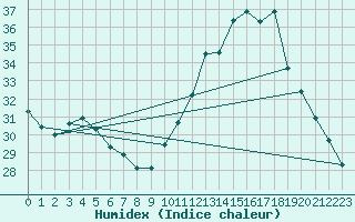 Courbe de l'humidex pour Douzens (11)