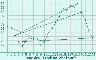 Courbe de l'humidex pour Sao Gabriel Do Oeste