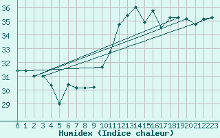 Courbe de l'humidex pour Leucate (11)