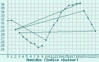 Courbe de l'humidex pour Muret (31)