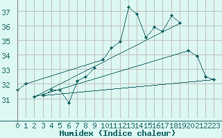 Courbe de l'humidex pour Ile Rousse (2B)