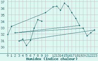 Courbe de l'humidex pour Tozeur