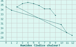 Courbe de l'humidex pour Ishigakijima