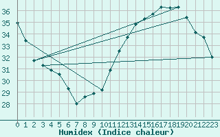 Courbe de l'humidex pour Jan (Esp)