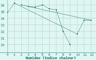 Courbe de l'humidex pour Mcarthur River