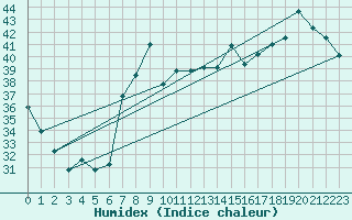 Courbe de l'humidex pour Catania / Sigonella